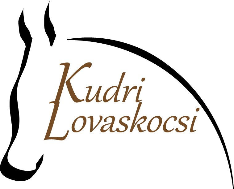 Kudri lovaskocsi  Lovaskocsizás, hintózás Tokajban