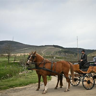 Hintó - Kudri Lovaskocsi